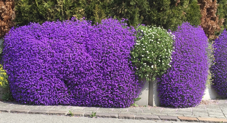 Frühling