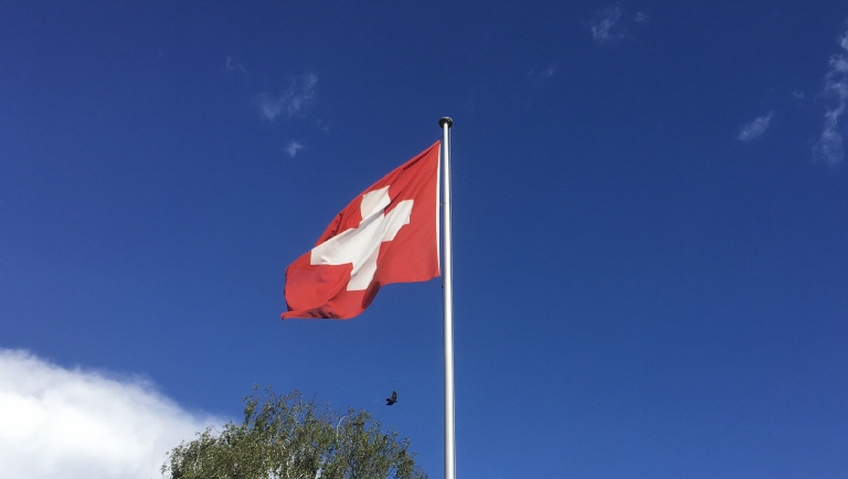 Fahne Hof