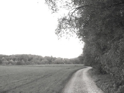 Ihr Weg zu mir
